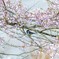 お花見（2021）