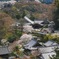 長谷寺　桜遠景