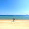 海