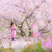 花に願いを