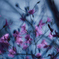 pogomonophotosono00026