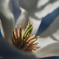 pogomonophotosono00027