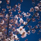 pogomonophotosono00030