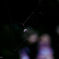pogomonophotosono00032