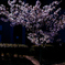 pogomonophotosono00035