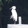 DSCF0969