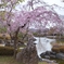 群馬県藤岡市　桜山公園