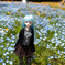 Nemophila Blue