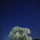 桜と星空　高山村