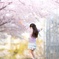 ♪さくら舞い散る♪