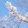 4B8FC381-F541-4CAA-80B1-77FF4A8D9383