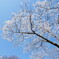 555307E8-9B2D-4E25-A414-0308A380B6D2