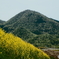 二上山笑う