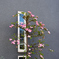 花と窓