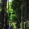 散歩道