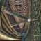 T-Forum_HDR