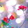 玉ボケ花ボケ