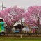 播磨横田駅にて