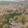 善峯寺