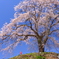 悠久の時を経て