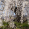 和美の桜