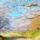 桜