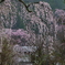角館・３