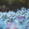 A9471A68-7D14-400D-964A-0A57323DA165