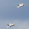 Flight　of　Two