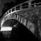 SDIM0767