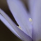 71F80706-1EE9-4E6E-9D91-272A6AB31436
