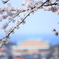 密かな眺め