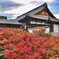 november in japan