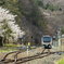 桜のある駅