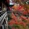 autumn in kyoto