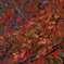 red leaves