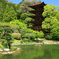 国宝瑠璃光寺五重塔＆鯉