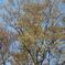 US210401_073027