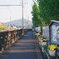 通学路