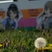 タンポポと鉄道むすめ