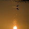 夕暮