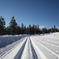 Snow Railway