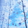 ガラスの雨