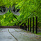 Green Shower