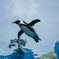 池袋のペンギン