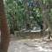 DSCF6758八倉ひめ神社奥の院