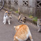 今日のところはこれで許してあげる！