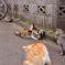 くんずほぐれず！