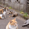 まだやれるのか？