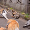 カメラを意識？
